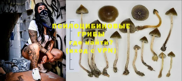 гидропоника Зеленодольск