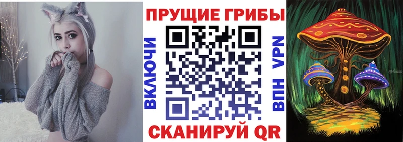 Купить  Балей  Псилоцибиновые грибы мицелий 
